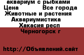 аквариум с рыбками › Цена ­ 1 000 - Все города Животные и растения » Аквариумистика   . Хакасия респ.,Черногорск г.